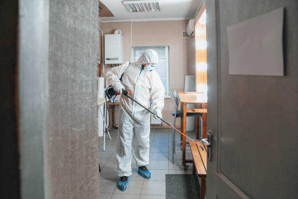 Best Post-Construction Mold Inspection  in Sunnyvale, CA