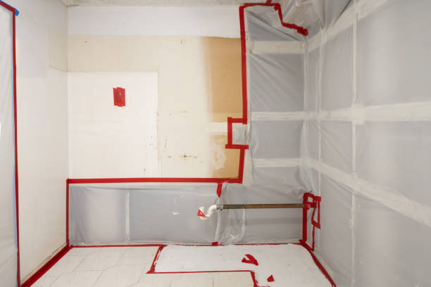 Best Mold Odor Removal Services  in Sunnyvale, CA