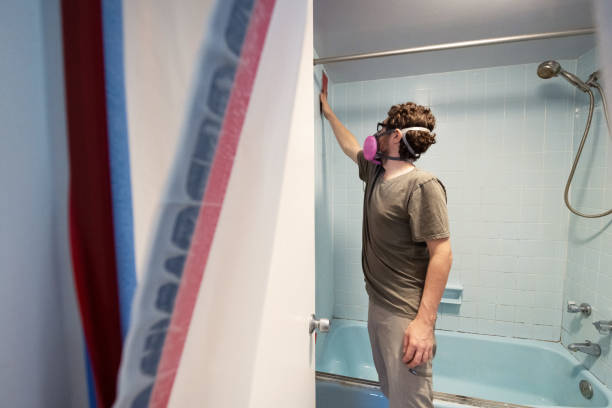 Best Mold Prevention Services  in Sunnyvale, CA