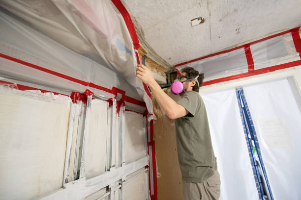 Best Mold Removal for HVAC Installations  in Sunnyvale, CA