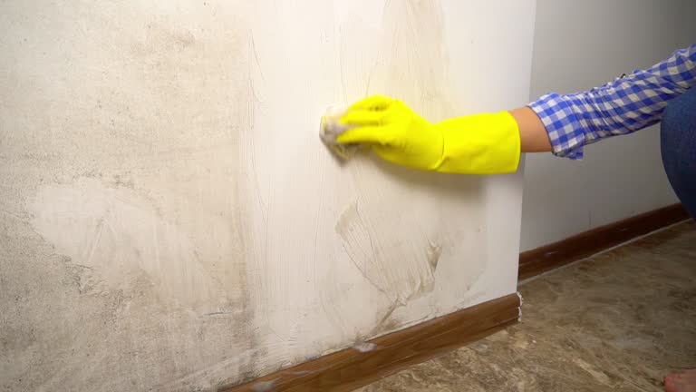 Best Comprehensive Air Testing for Mold Contaminants  in Sunnyvale, CA